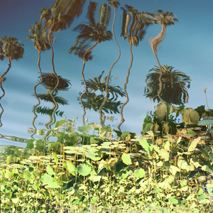 女同炒菜在线看
