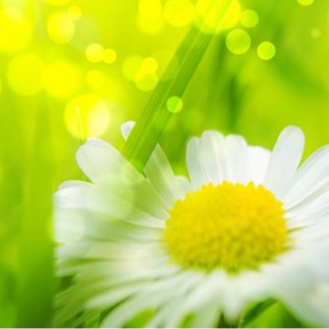 女同炒菜在线看
