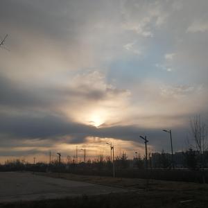 女同炒菜在线看
