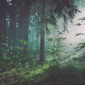 女同炒菜在线看
